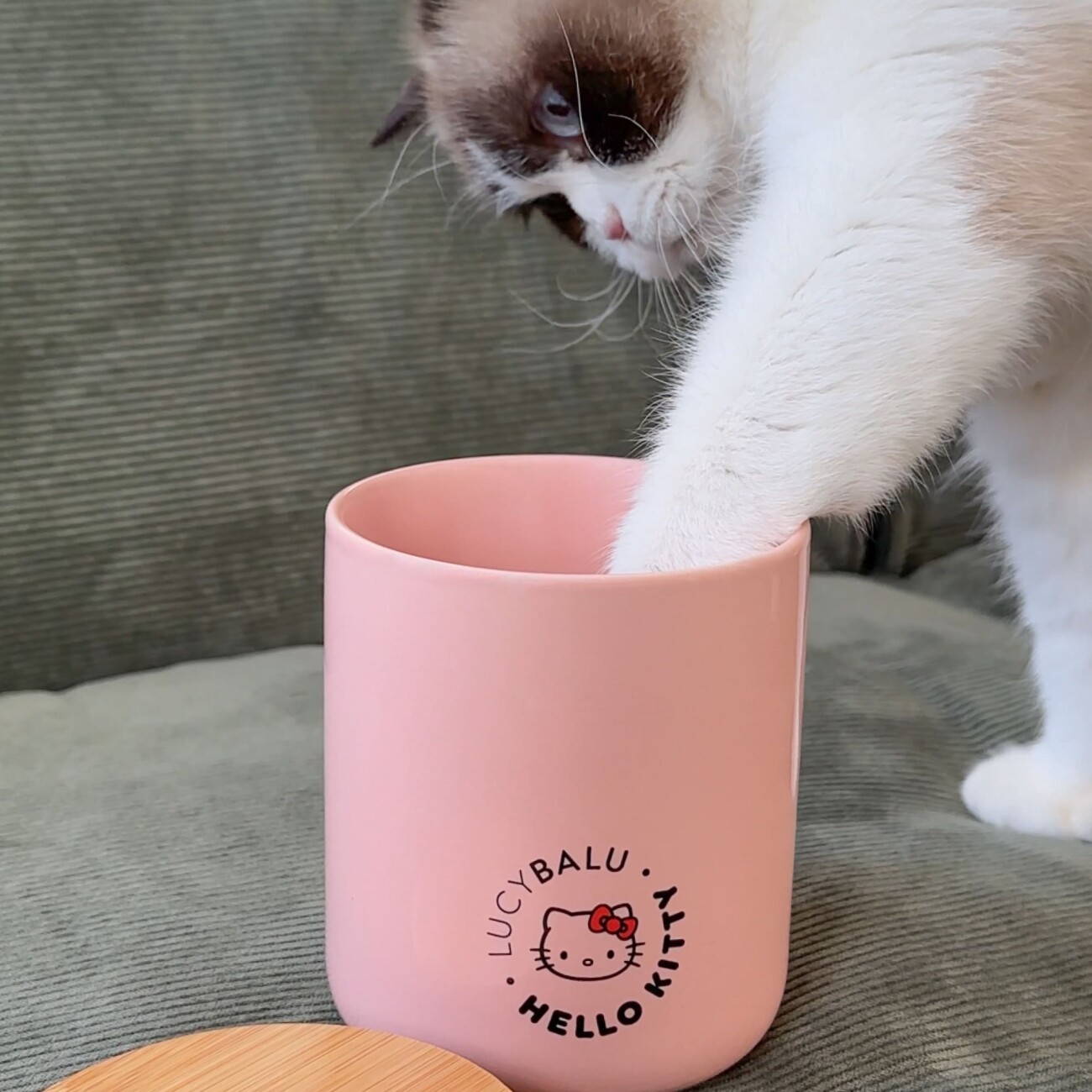 LucyBalu SNACK BAR Katzen Leckerlidose - Hello Kitty Edition