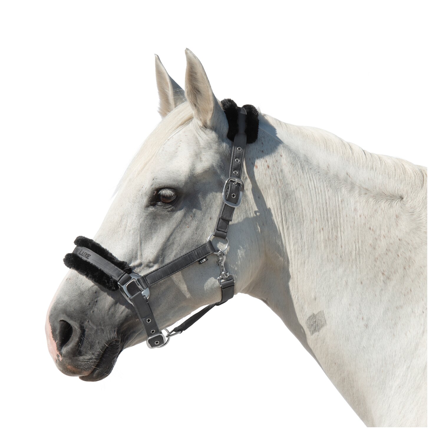 Cheval de Luxe Halfter Manila  - grey