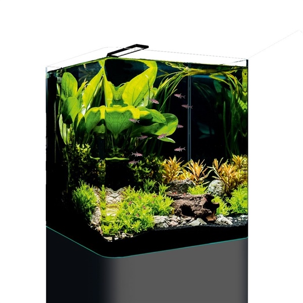 Dennerle Nano Cube Basic 60L | Aquarium
