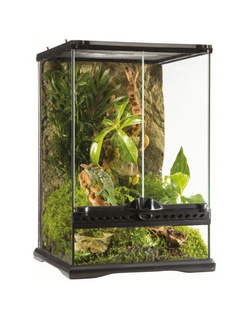 Exo Terra Glas Terrarium & Achterwand - Terraria