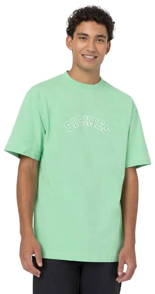 Dickies West Vale T-shirt | SkatePro