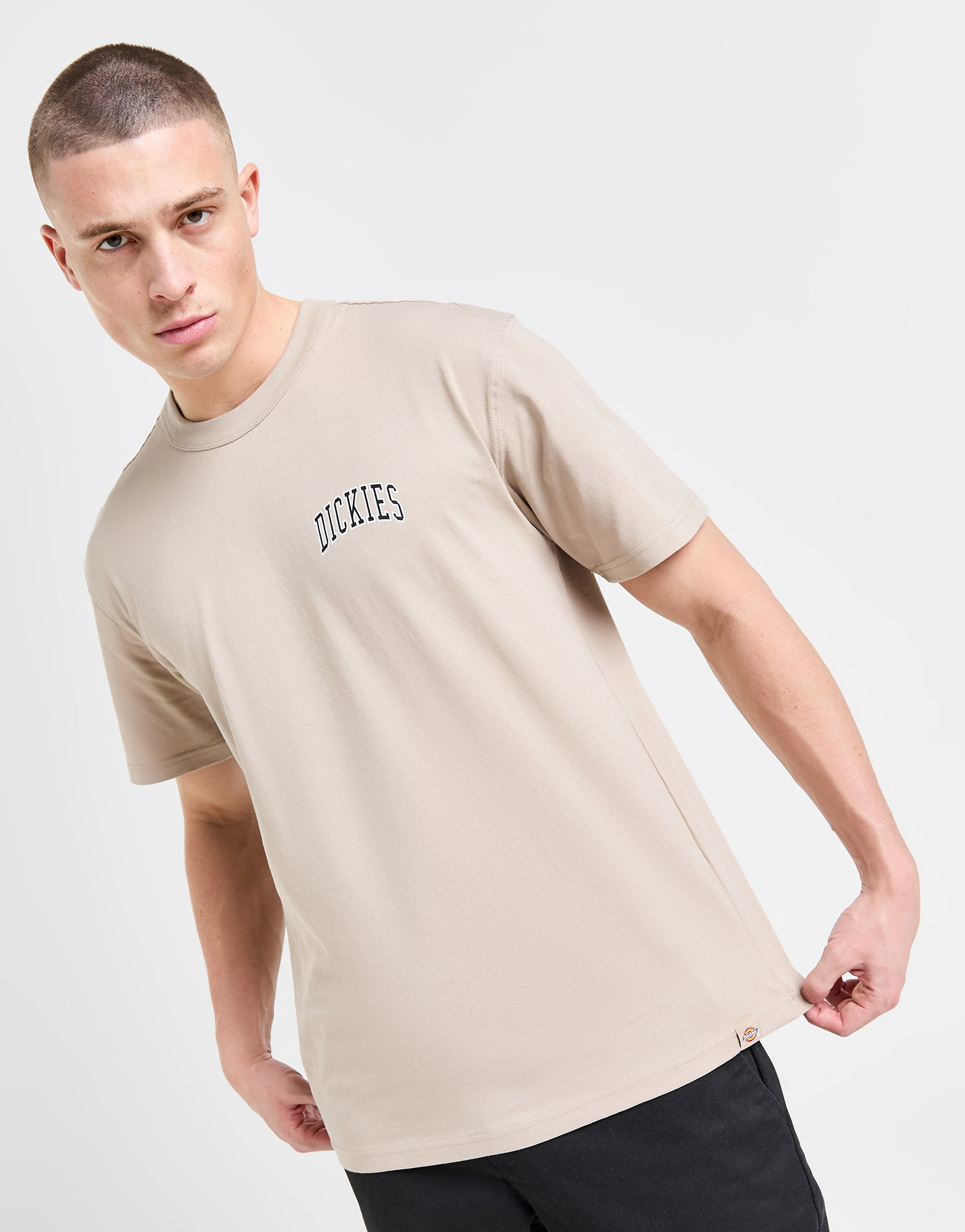 Dickies T-shirt Aitkin Chest Homme