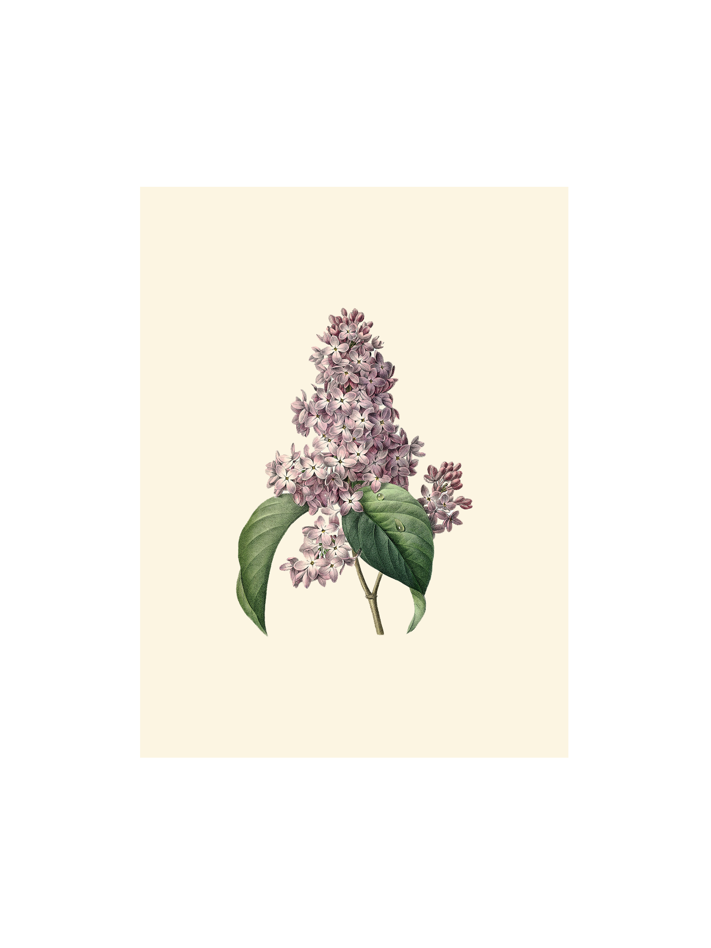 Plakat A3 | Papir. 29,7 x 42 cm.  | Multi | The Dybdahl Co.