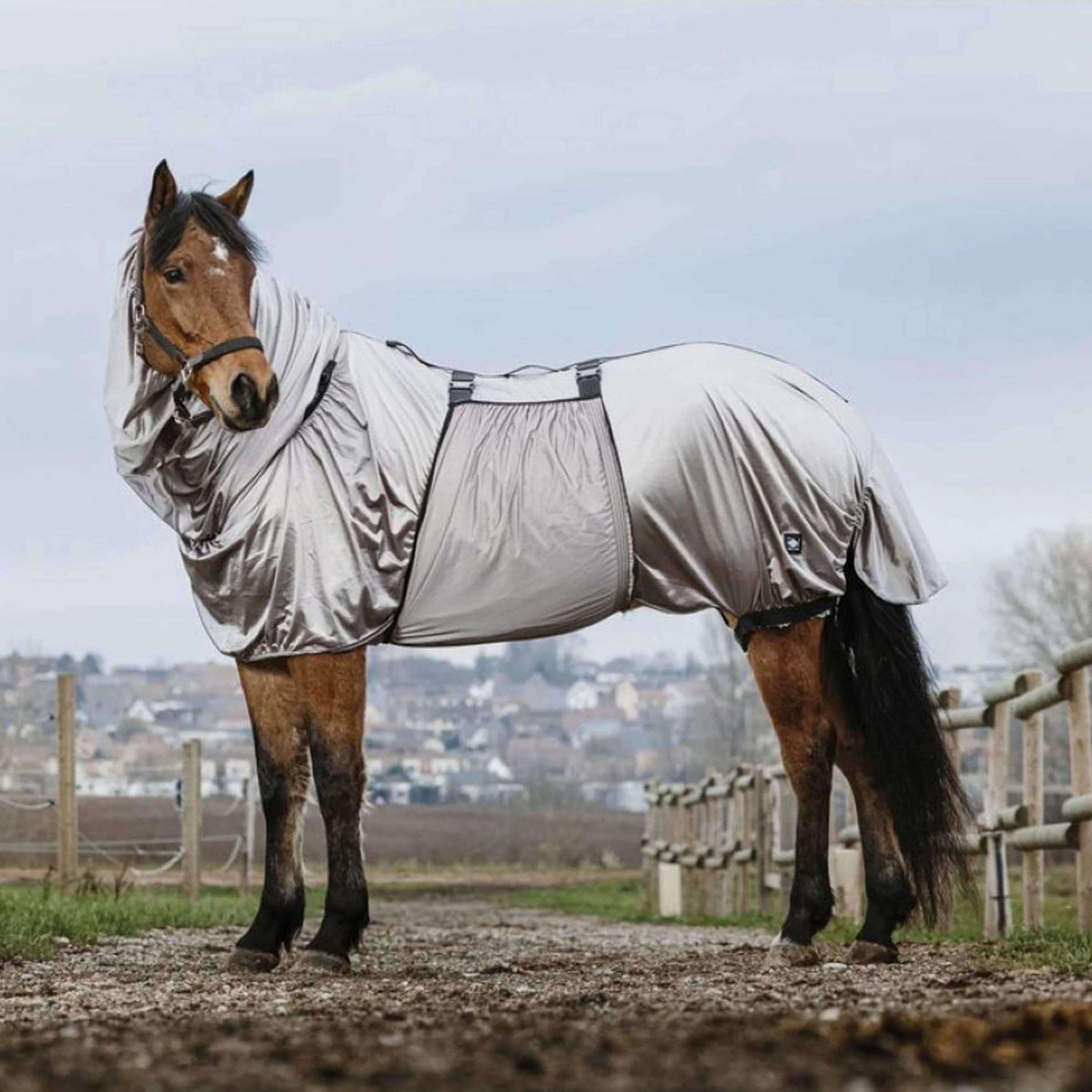 Riding World Eczeemdeken Grijs