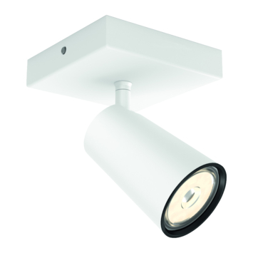 Philips opbouwspot Paisley wit