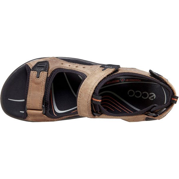 Ecco Offroad Sandalen Herren nutmeg brown