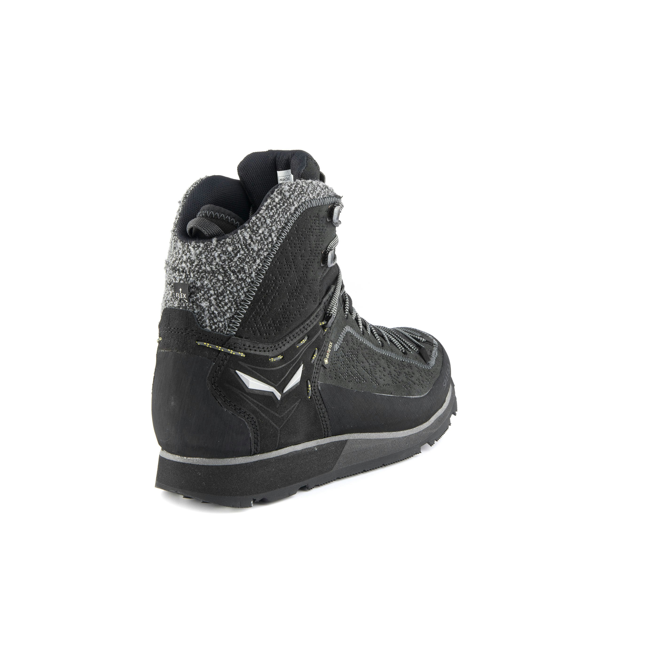 Mountain Trainer 2 Winter GORE-TEX® Herren Schuhe
