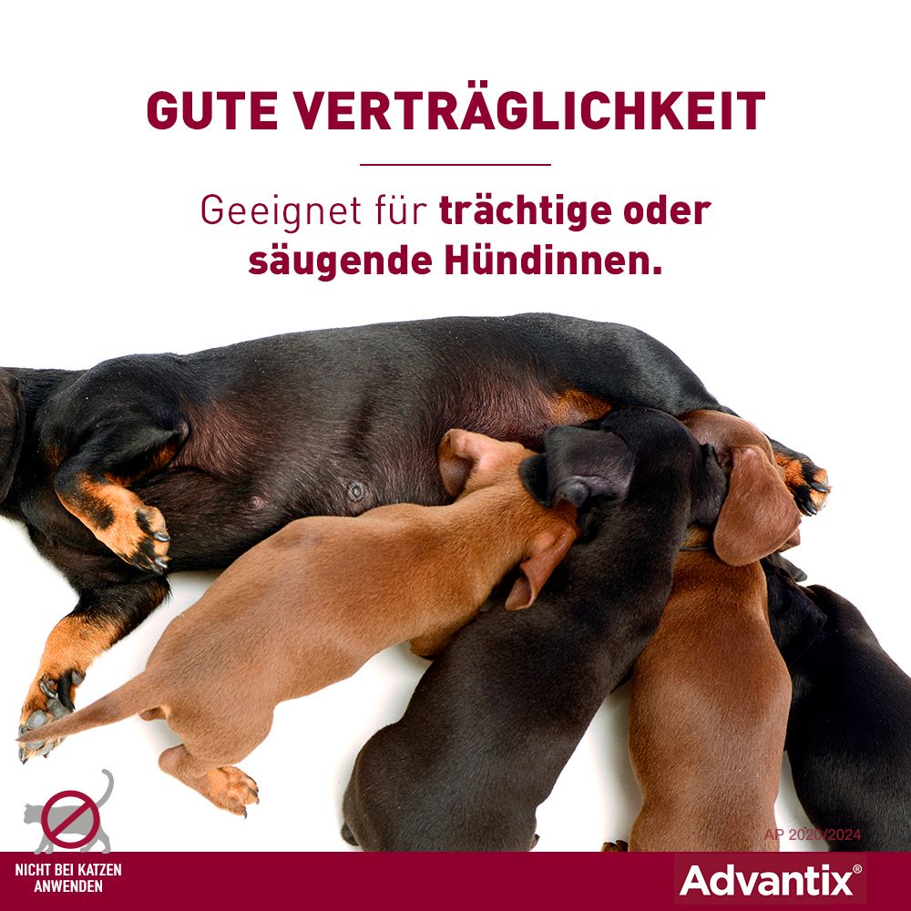 Advantix® Spot on für Hunde bis 4 kg