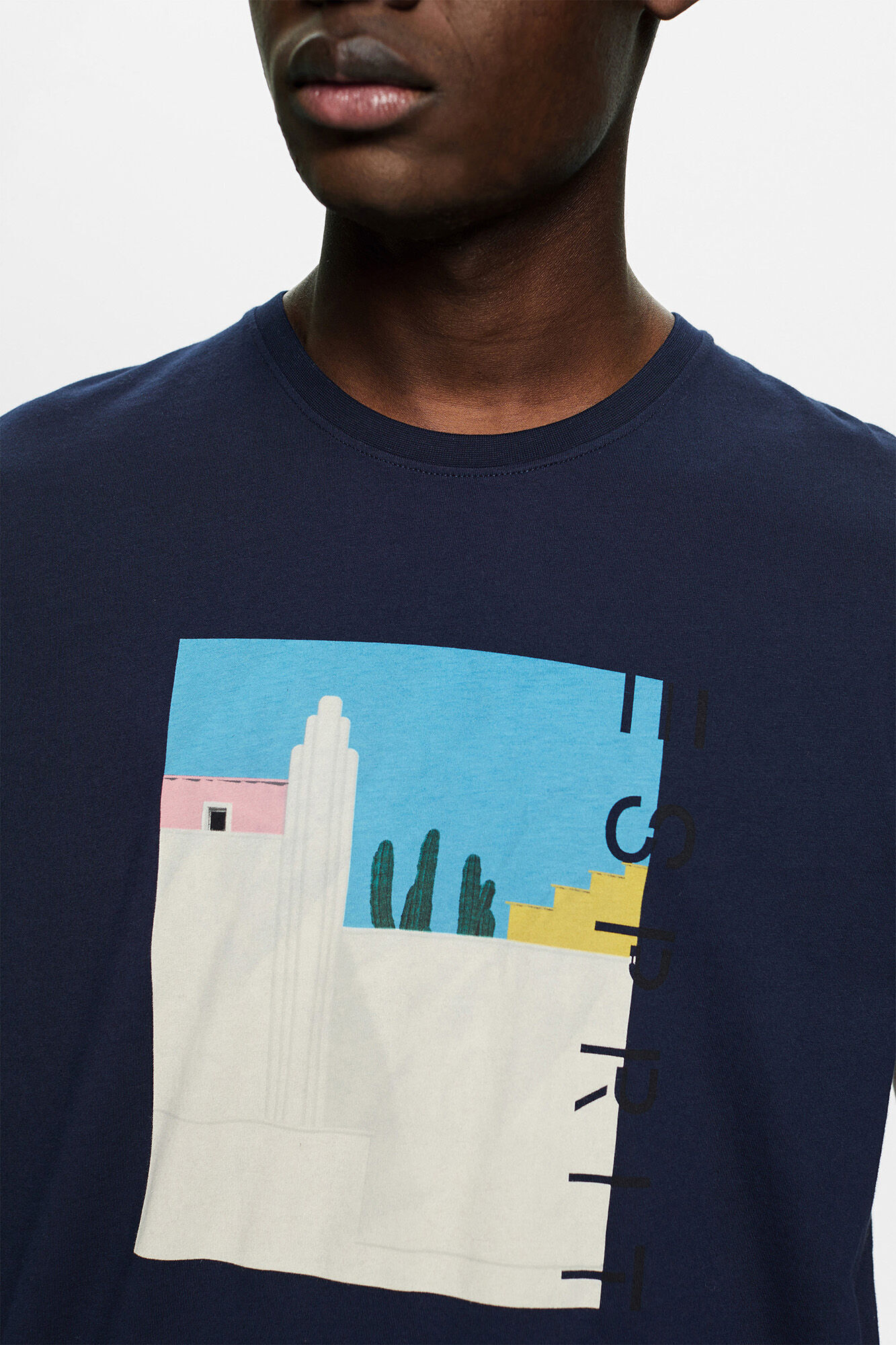 Camiseta estampada de corte regular - Estampa azul