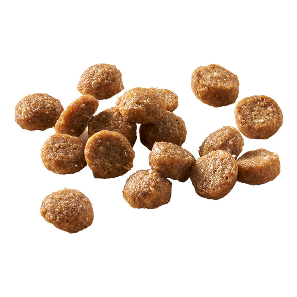Welkoop Adult in/outdoor - Kattenvoer - 2 Kilogram - kip, zalm