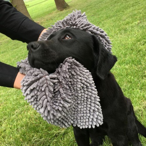 Toalha superabsorvente para cães, cinza