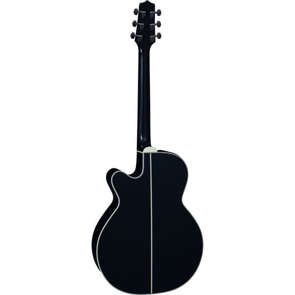 Takamine LTD 2024
