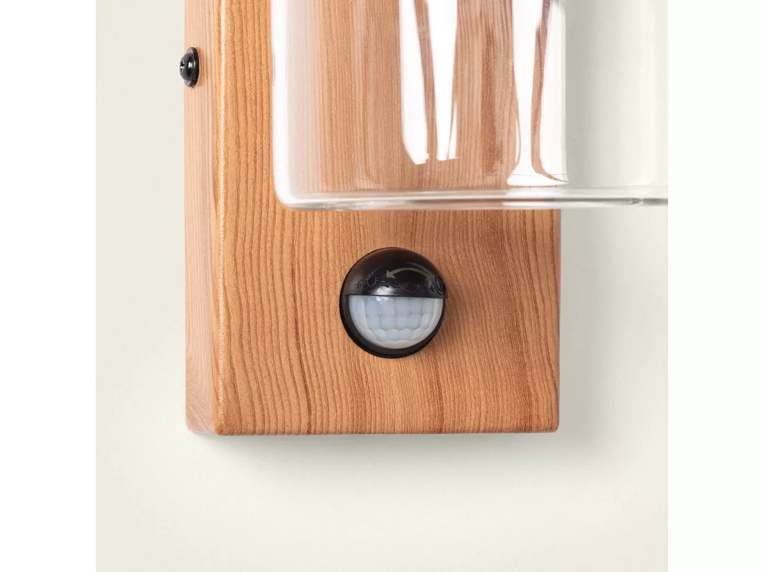 Applique Murale Extérieure Acier Inoxydable et Verre avec Détecteur de Mouvement Isoba Noir