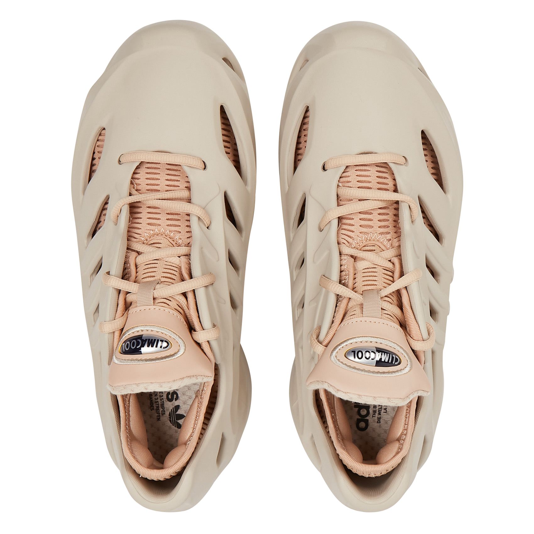 CLIMACOOL - Baskets basses à lacets| Beige