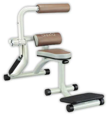 DISPORTEX Back Extension
