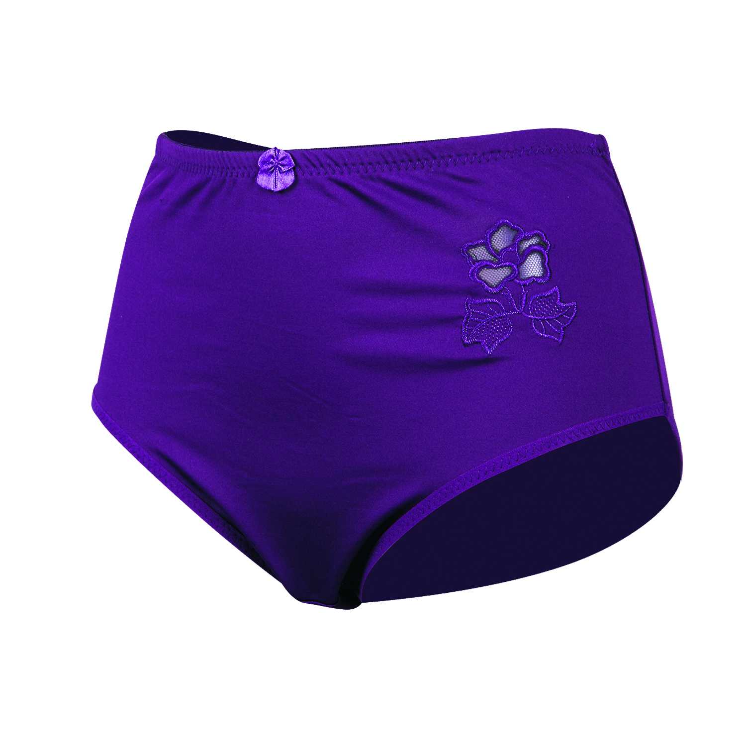 Damen Slip Microfaser mit Stickerei Gr. 40/42–52/54 unifarben 2er 4fach