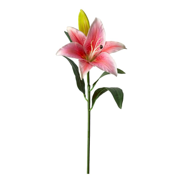 pink, L 45 cm