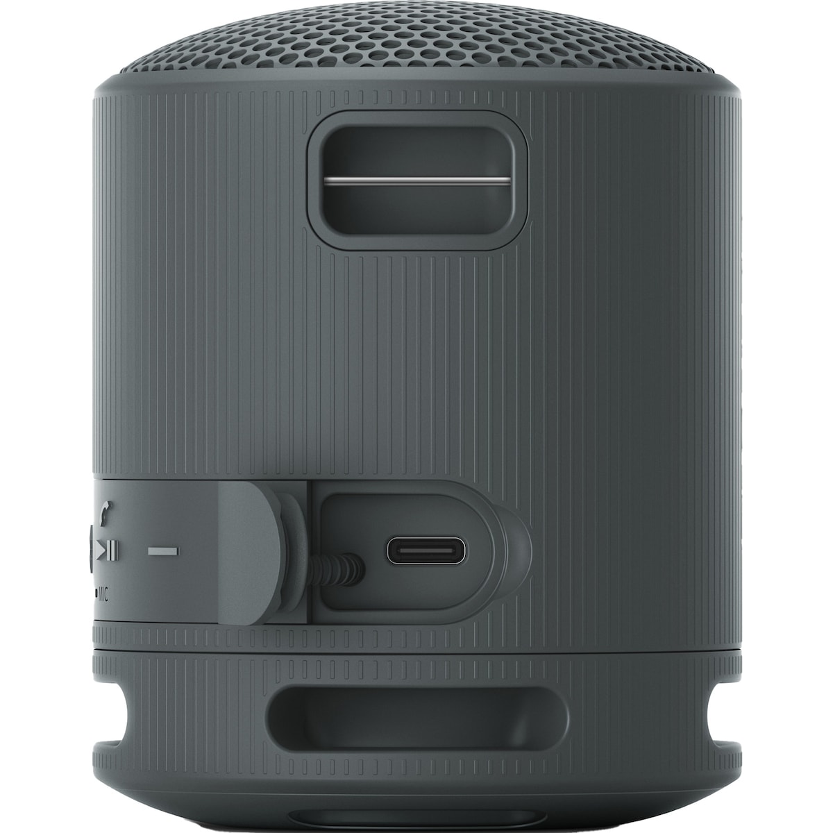 Sony SRS-XB100 bærbar trådløs høyttaler (sort)