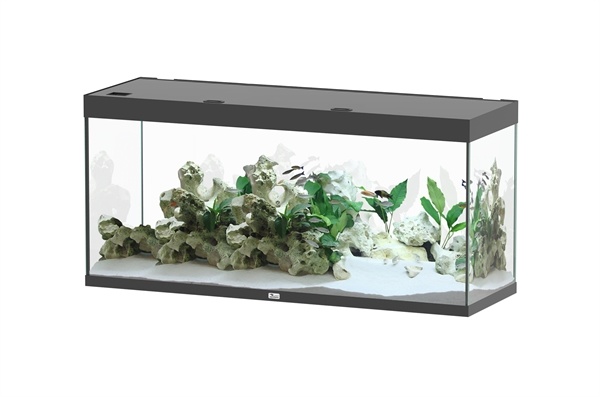Aquatlantis Sublime 150x50 aquarium | Gloednieuw