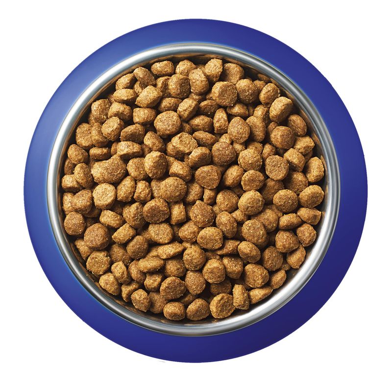 PURINA ONE Chat d'Intérieur dinde, céréales complètes