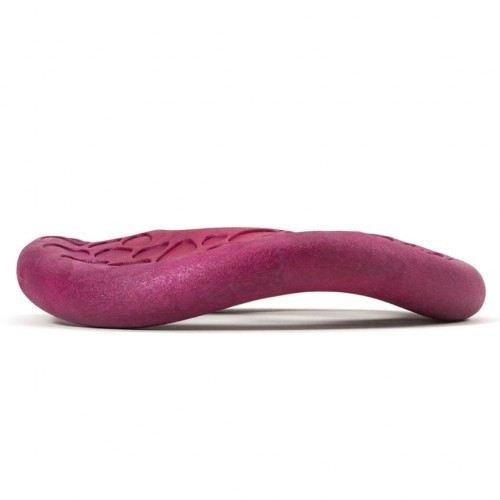 Disco voador rosa para cães