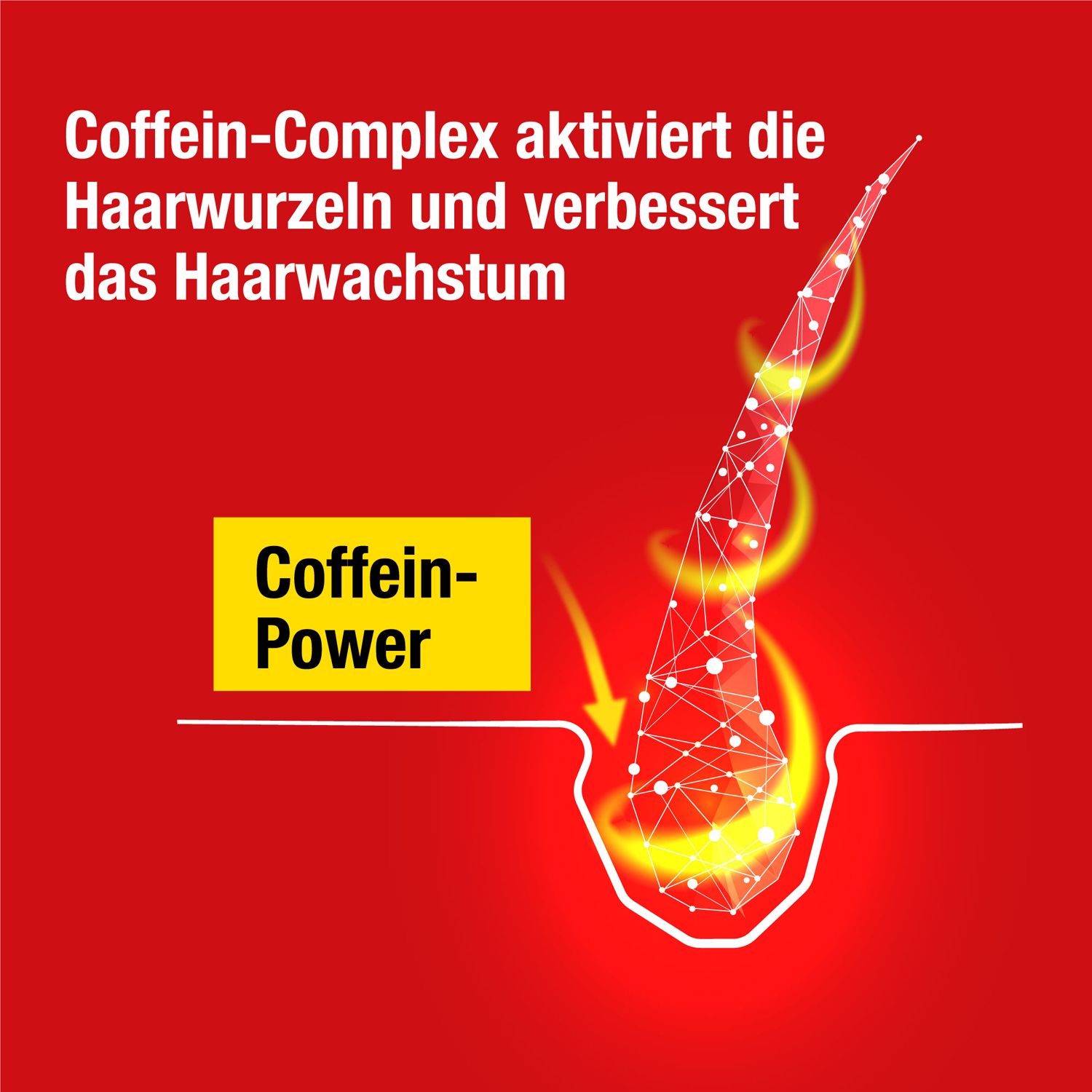 Alpecin Coffein-Shampoo C1