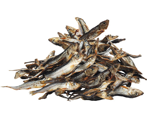 DIBO® Gedroogde Vis Hondensnack 200g