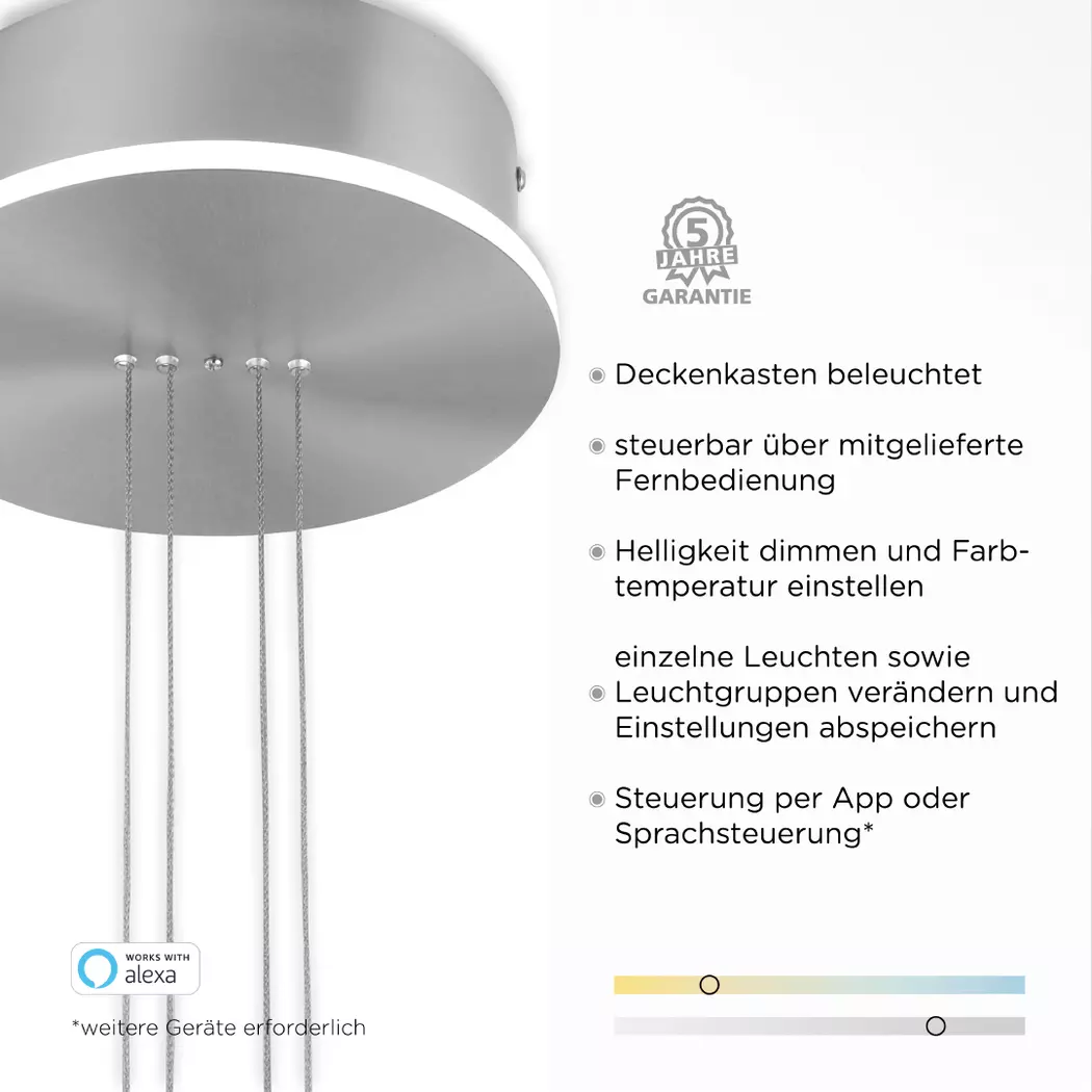 LED-Pendelleuchte Q-Etienne