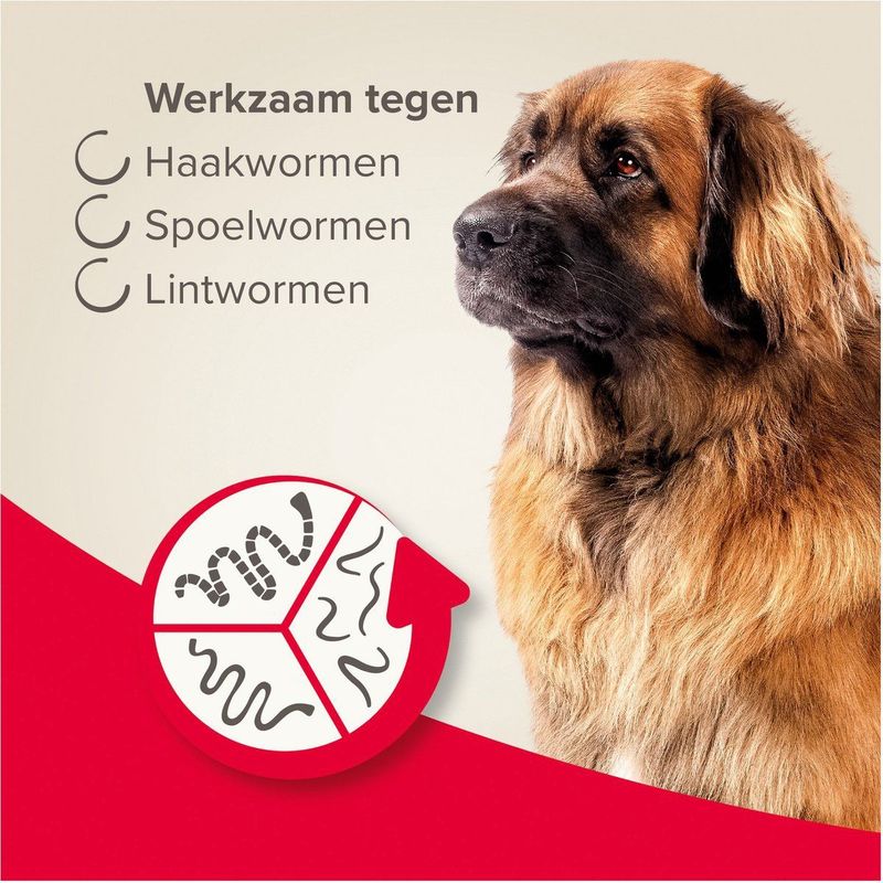 Beaphar All In One Ontwormingsmiddel - Hond - 17.5-70 kg - 2 Tabletten