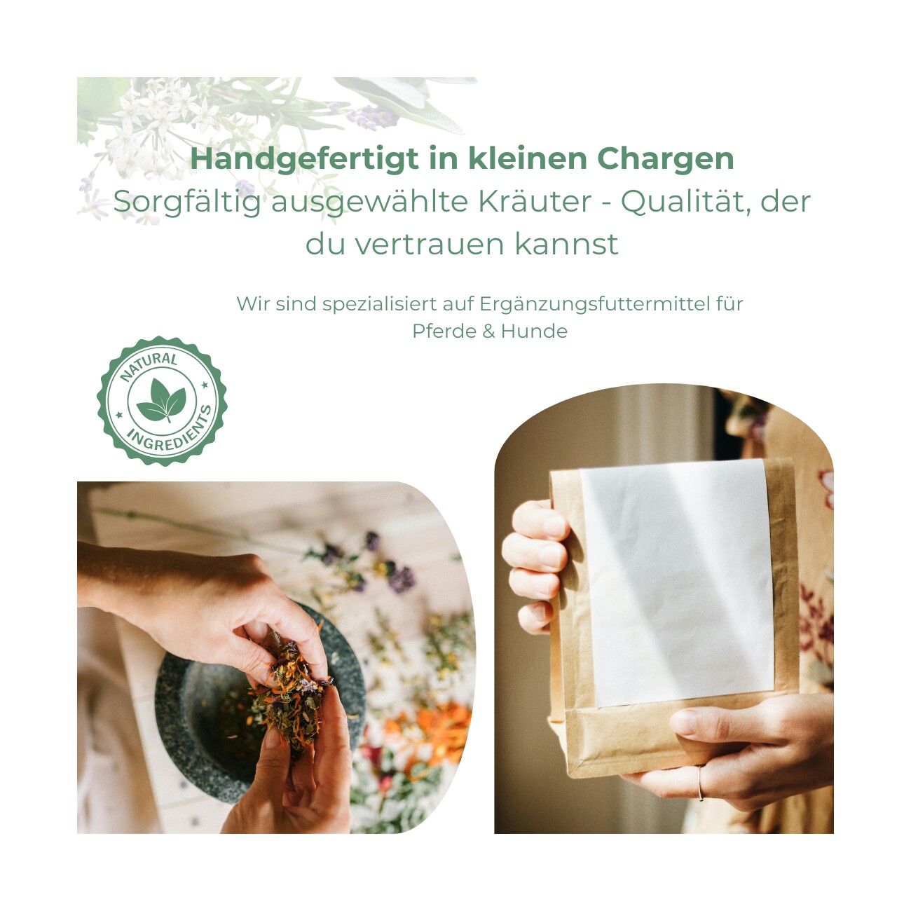 Hand aufs Pferd/Hund Nieren Kräuter für Pferde – Druckfrei 1kg