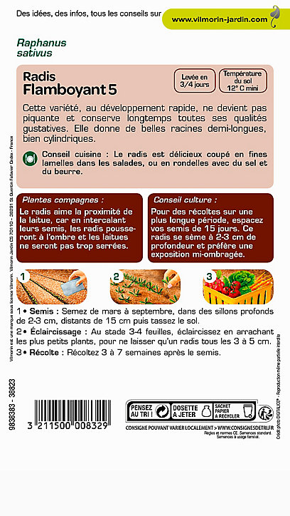 Graines de Radis Flamboyant Vilmorin
