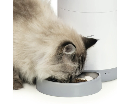 catit Pixi Smart automatische droogvoerbak voor huisdieren, wit, bedienbaar en programmeerbaar via gratis app, tot 12 maaltijden per dag, luchtdicht