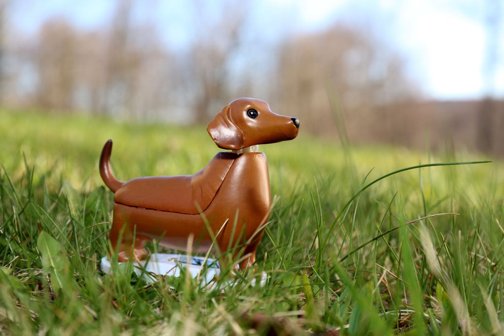 Solar Dachshund - Boudewijn (1612)