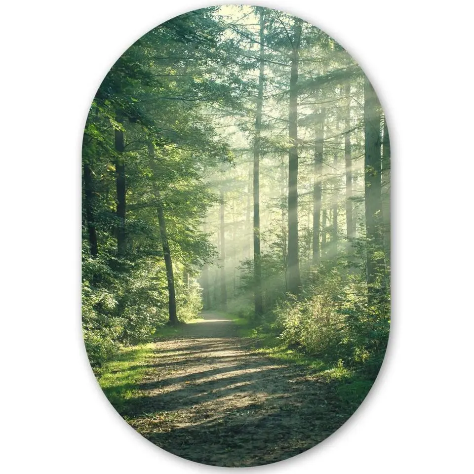 MuchoWow Wand decoratie 80x120cm Bos Pad Zon Bomen Groen