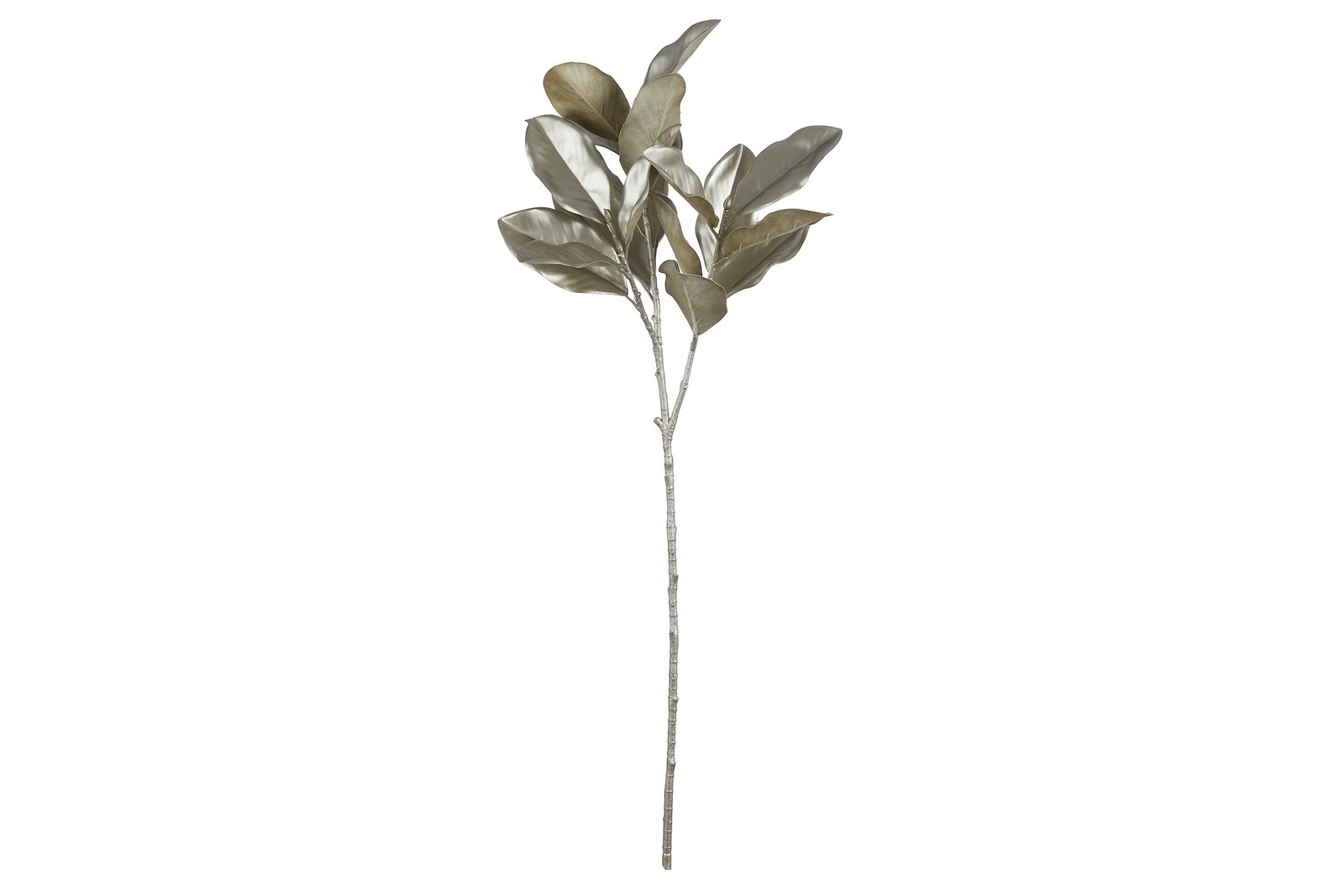 Magnolia kvist Sølv H100 cm