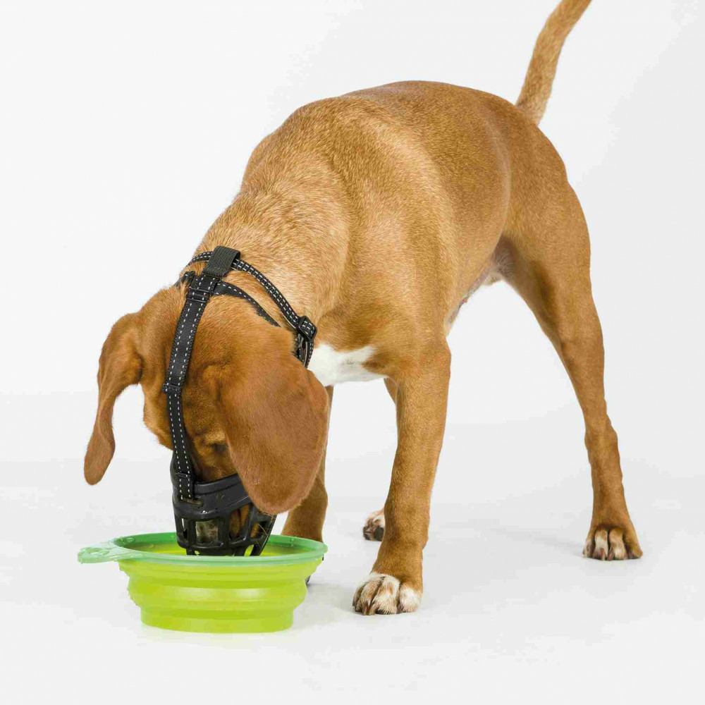 Muselière muzzle flex, en silicone taille: l-xl. Pour chien type bouvier be