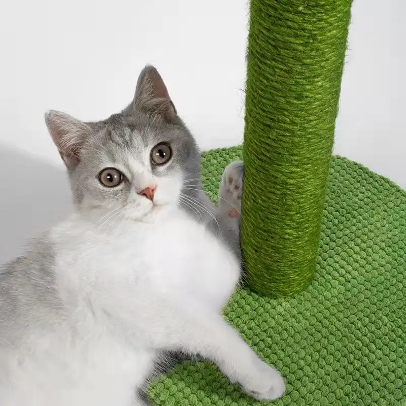 (60x30cm) Katzen Kratzstamm Sisal Kaktus Kratzsäule - Grün