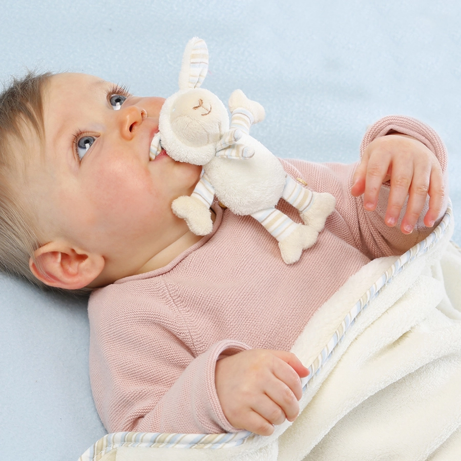FEHN Kuscheldecke Baby Love Schaf Paul