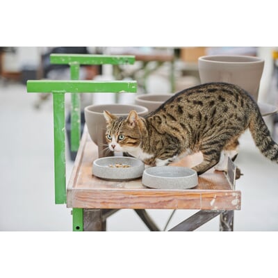 Katzennapf Granitkeramik