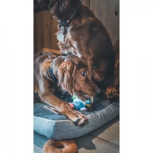 Mini brinquedo de pelúcia de vaca multicolorida da AIME para cachorro