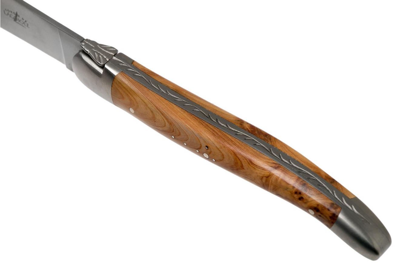Forge de Laguiole, T22MMINGE, 2-delige steakmessenset gematteerd, Jeneverbes