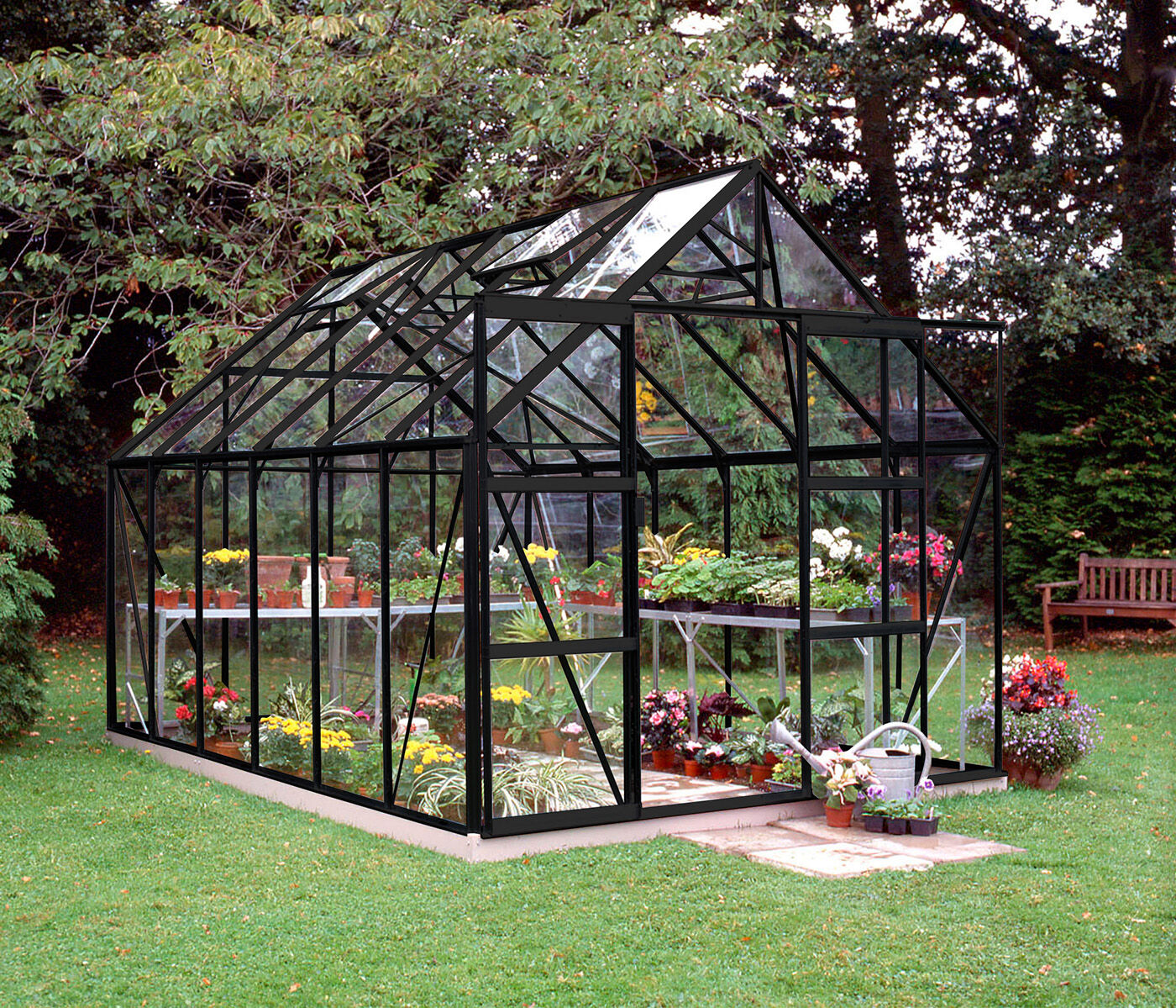 Halls Magnum 128 - Tuinkas - Zwart - 258x257x384 cm - Veiligheidsglas