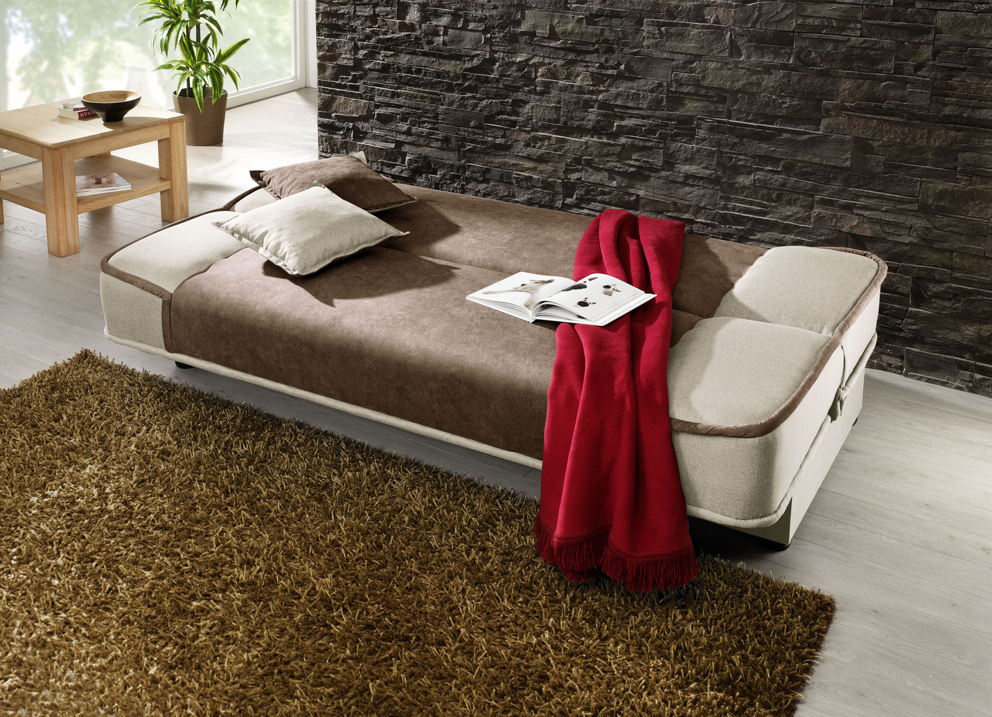 Schlafsofa mit Bettkasten