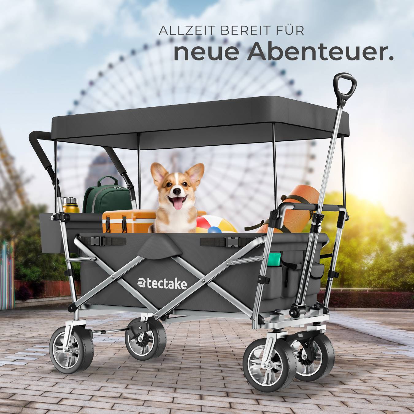 Bollerwagen Nico