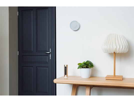 NETATMO - Caméra de surveillance NBU-ICSS-EU Système d'Alarme Vidéo Intelligent