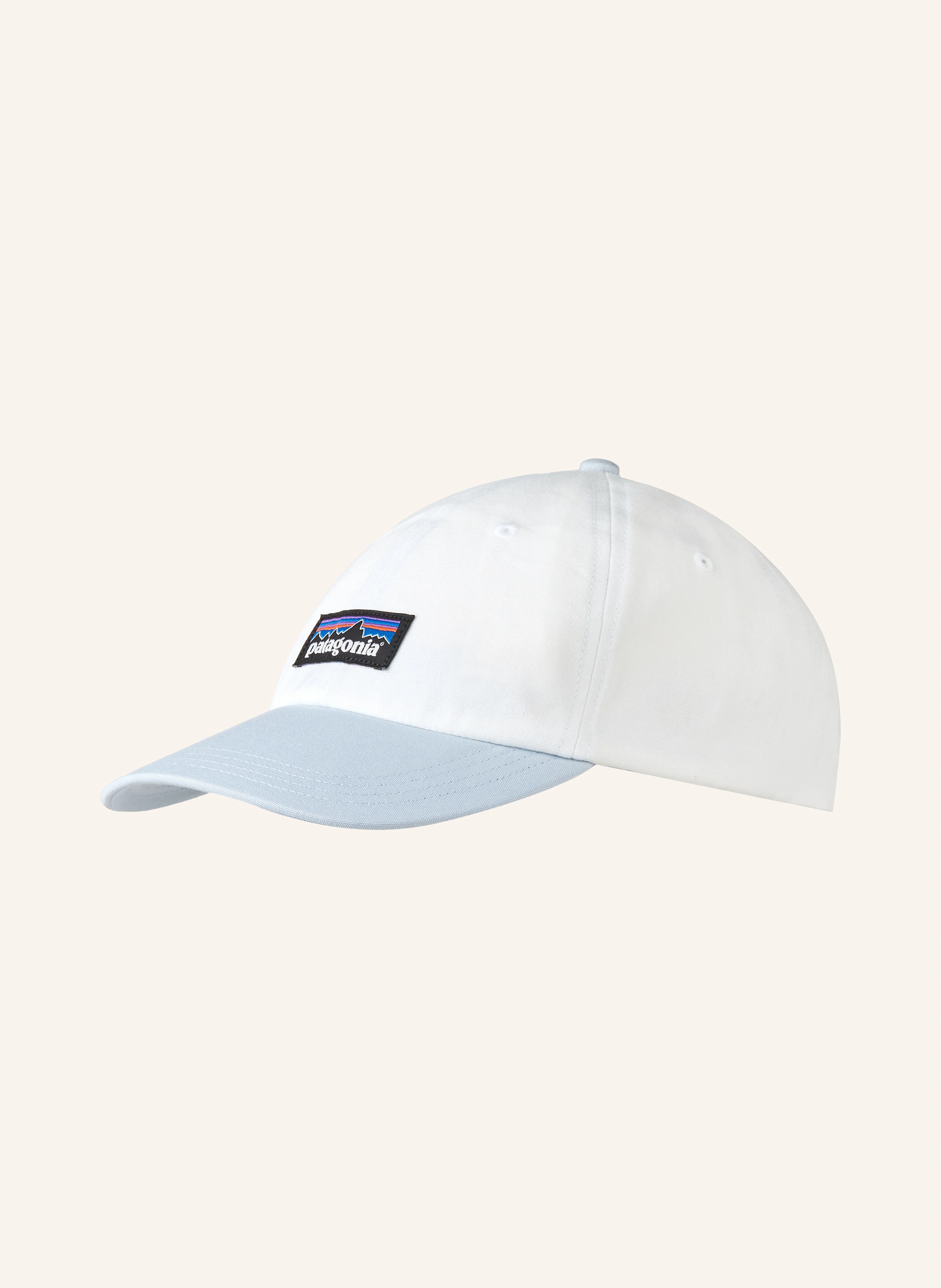 patagonia Cap P-6