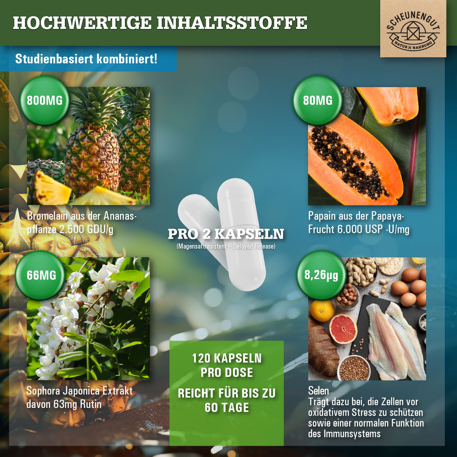 Scheunengut® Enzym Intenso | 2.500 GDU/g Bromelain, 6.000 USP-U/mg Papain PLUS Rutin Komplex
