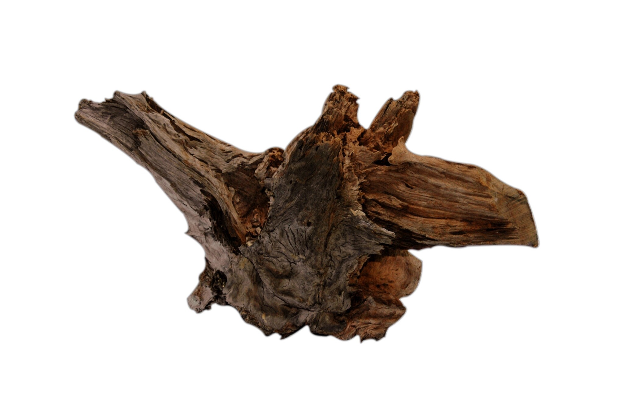 Driftwood XXL