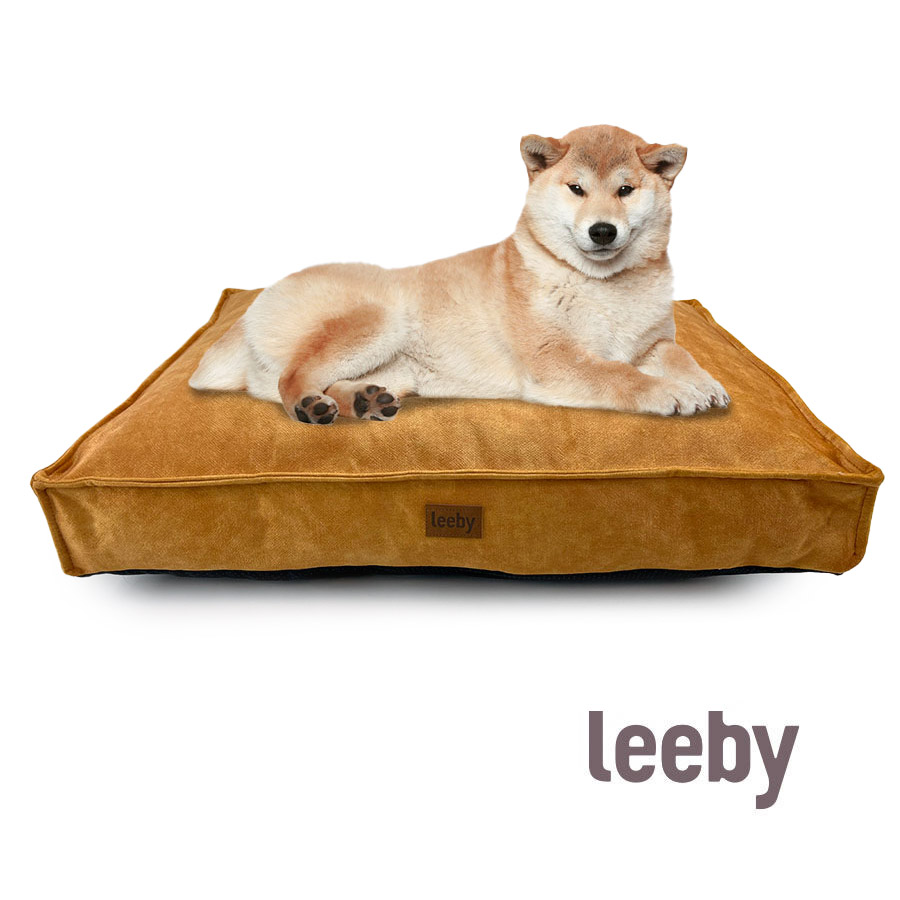 Tapete para cães Leeby, impermeável e removível, dourado
