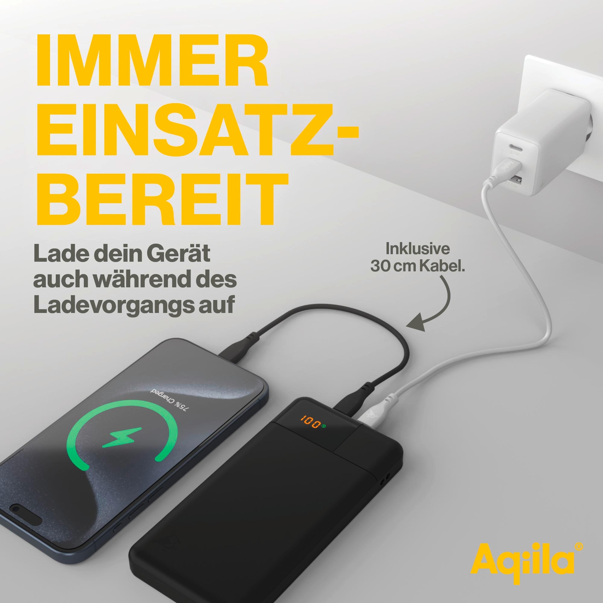 Aqiila Powerbird Powerbank 20 W 10000 mAh schwarz